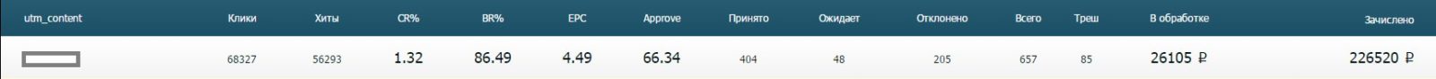 Кейс EcoSlim: 307 000 рублей за месяц