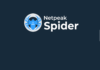 Netpeak Spider обзор краулера и гайд по работе